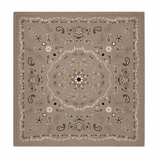 Sjaal - Paisleyprint