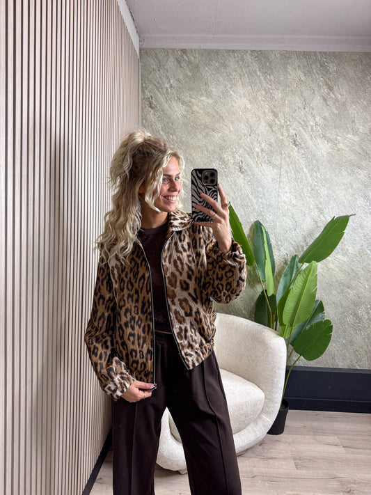 Panter Bomber