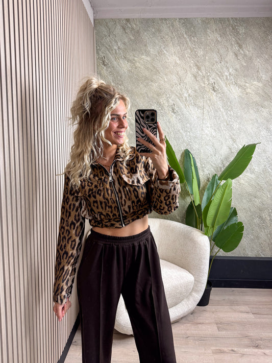 Wild & Chic Bomber