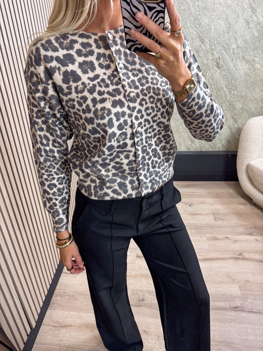 Vest Panter