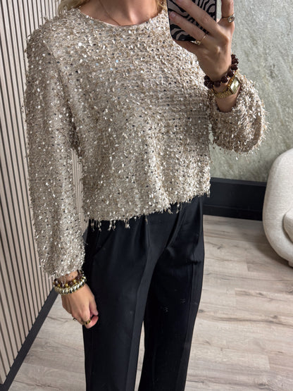 Glitter Top